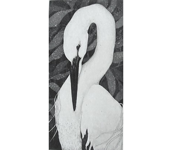 Beki Killorin "Snowy Preener"